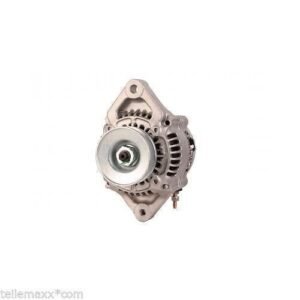 Lichtmaschine für Aixam JDM Microcar Chatenet mit Kubota Z402 Yanmar Motor NEU